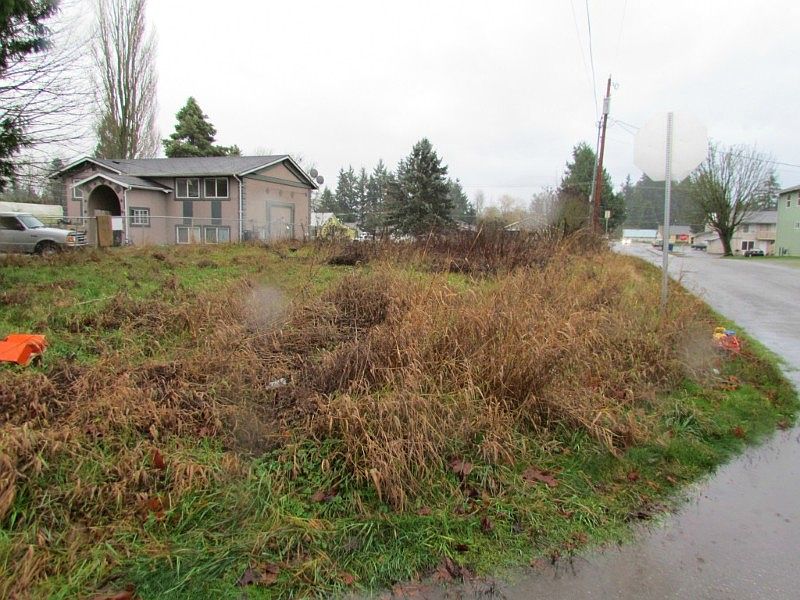 Looking South down Freda Lane.