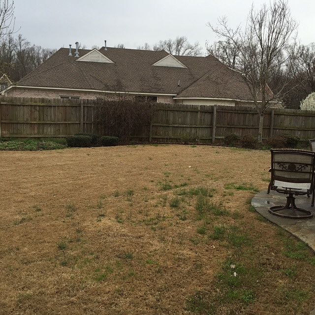2nd image of 10453 Red Stone Dr