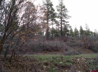 242 Hollow Dr, Pagosa Springs, CO 81147