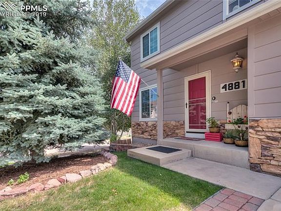 Your very own blue spruce tree, great for the holiday decorations!