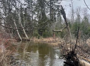 5705 S Lockwood Lake Rd, Atlanta, MI 49709