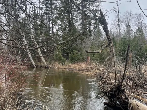 5705 S Lockwood Lake Rd, Atlanta, MI 49709