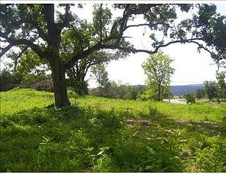 1st image of 6421 W State Highway 10