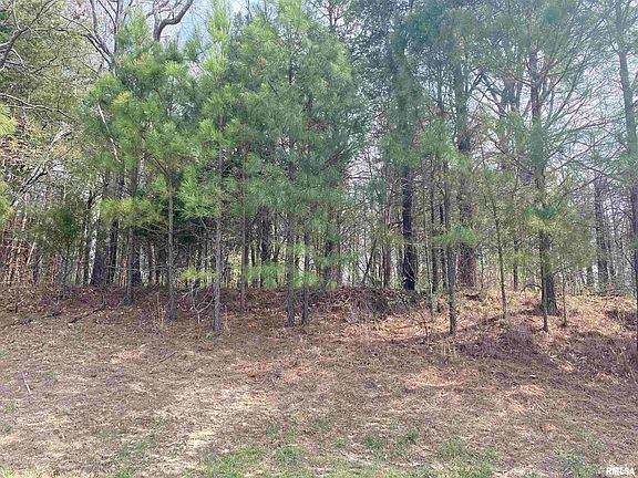 5th image of 396 & 399 Parrish Ridge Rd