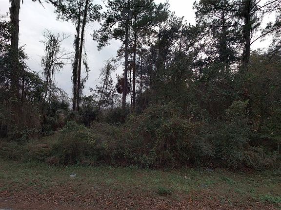 3rd image of 0 Duck Lake Dr