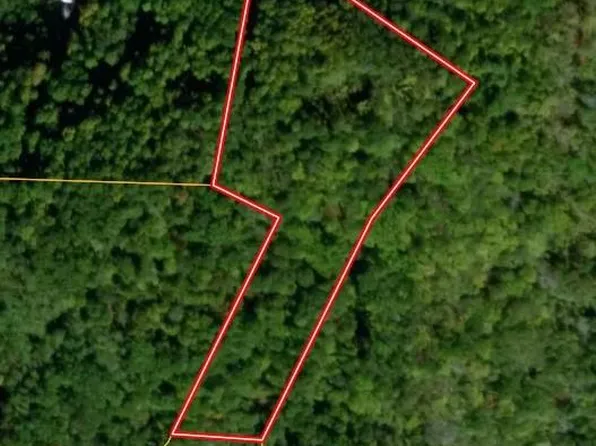 300 S Turkey Creek Rd, Leicester, NC 28748