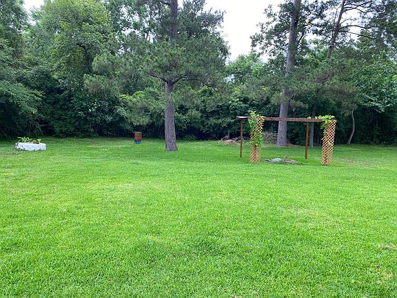 Huge Backyard with lush tree