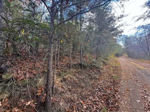 2.52 Acres Green Forest Rd, Cosby, TN 37722