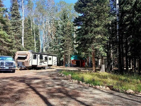 357 Wildflower Drive, Cimarron, CO 81220