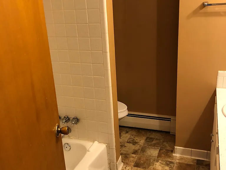 Bathroom area