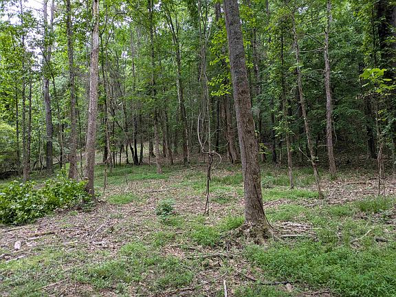 5th image of 200 First Creek Rd