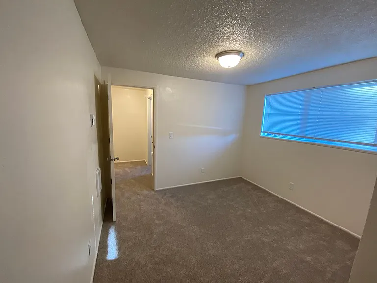 593 Cinderella Loop — Photo 13