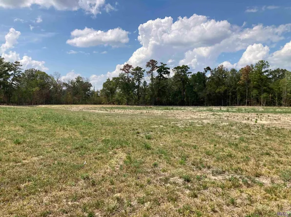 17164 Highway 933, Prairieville, LA 70769