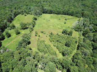 TBD Ahrens Road, Parksville, NY 12768