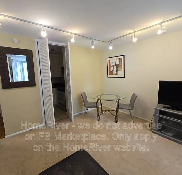 21 W Goethe St #4E — Photo 4