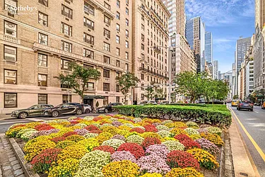 525 Park Avenue, #4N