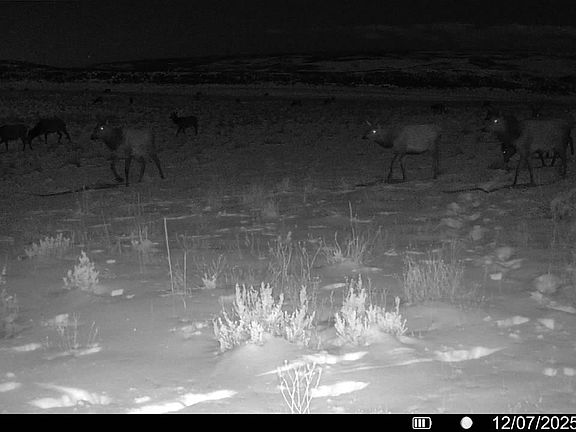 3rd image of 51978 Highway 13
