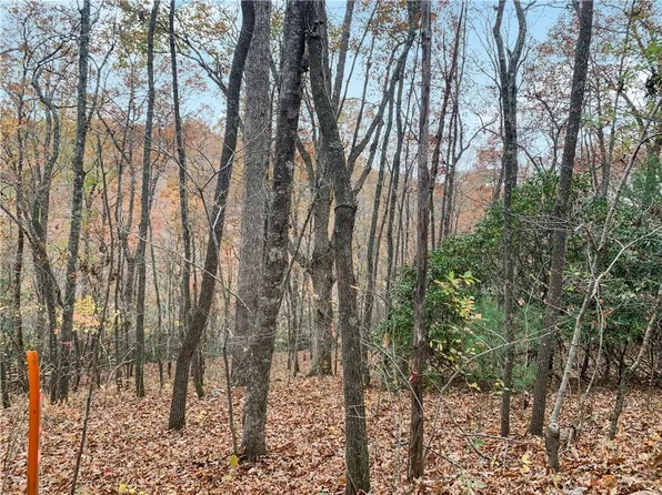 21 22 Creek Ridge Rd #21.22, Mc Caysville, GA 30555