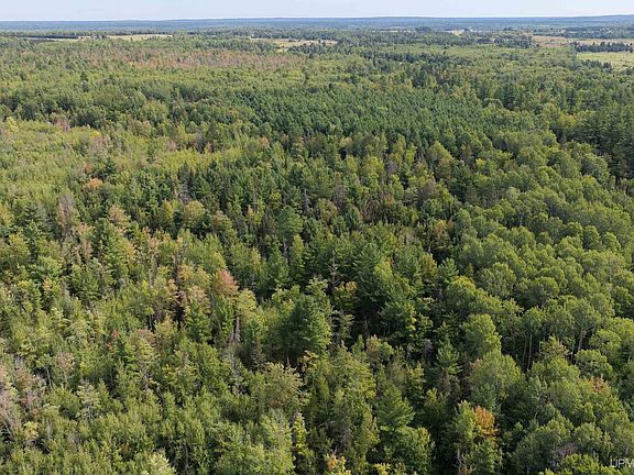5th image of Tbd Larson Rd