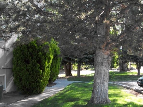 3905 W Alpine St #E682A49C5