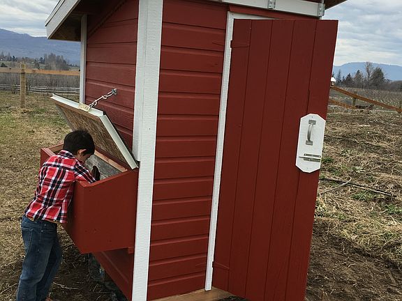 Chicken coop nesting box