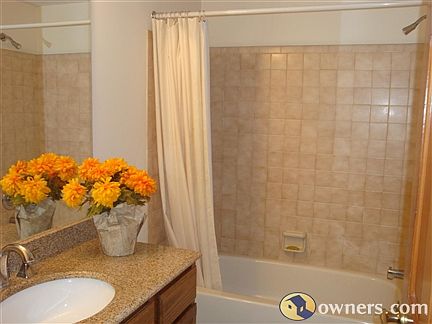 Master bath vanity & bath - granite