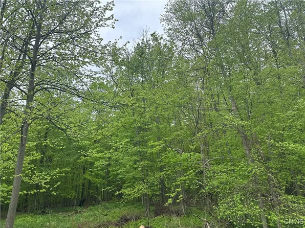 2460 Hitchings Rd #13, La Fayette, NY 13084