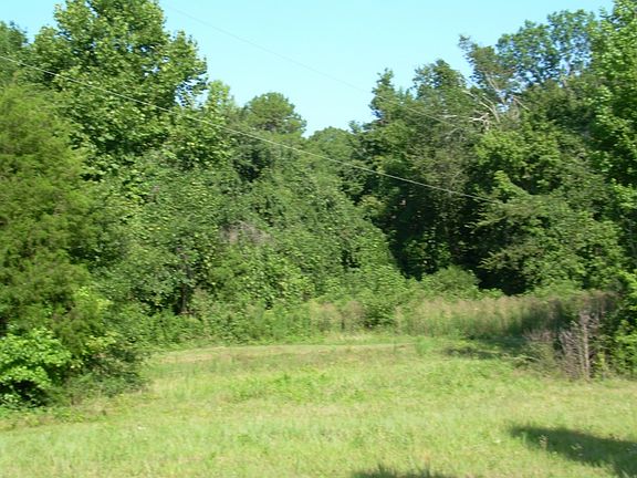 5th image of 22.49 Acres Off Glenn Brandon Road