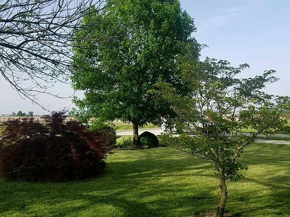 Side Yard