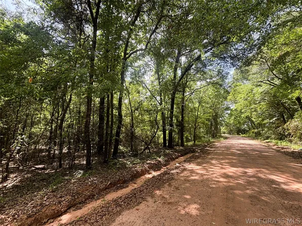 0 County Road 534, New Brockton, AL 36351