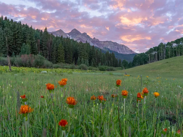 Sunshine Mesa Rd, Telluride, CO 81435