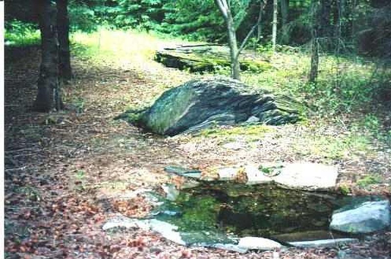 5th image of 496 TINKLEY HOLLOW Road