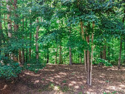 0 Forest Meadow Ln, Clemmons, NC, 27012