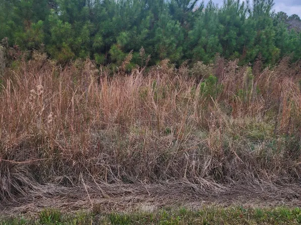 Lot On Porters Lane Road, Rocky Point, NC 28457