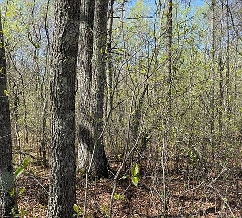 5th image of 7.57 Acres County HWY A