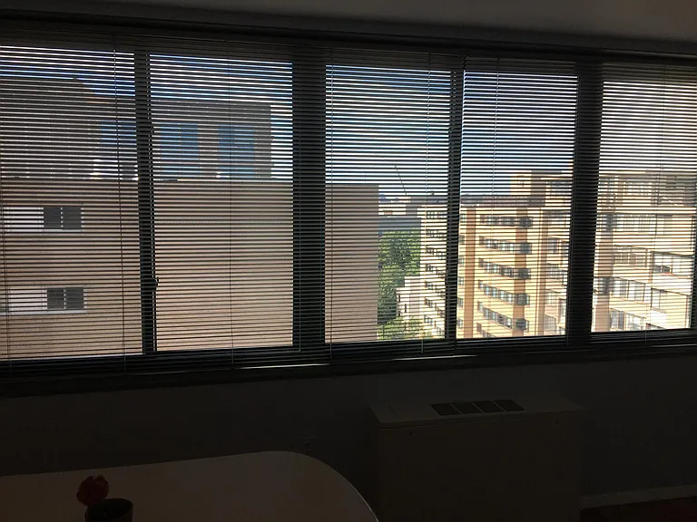 dinning/living view 3