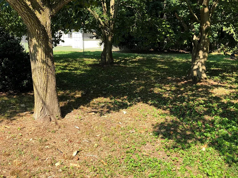 295 Stardust Dr — Photo 11