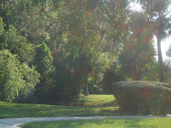 Yard to Right of Unit