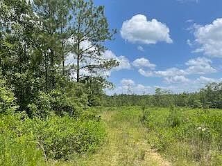 0 Old Federal Rd, Repton, AL 36475 | MLS #16119 | Zillow