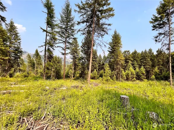 0 Lot 3 Vista Drive, Republic, WA 99166