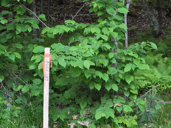 LOT 354 195th Pl, McGregor, MN 55760