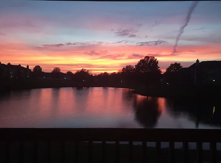 Sunset Views