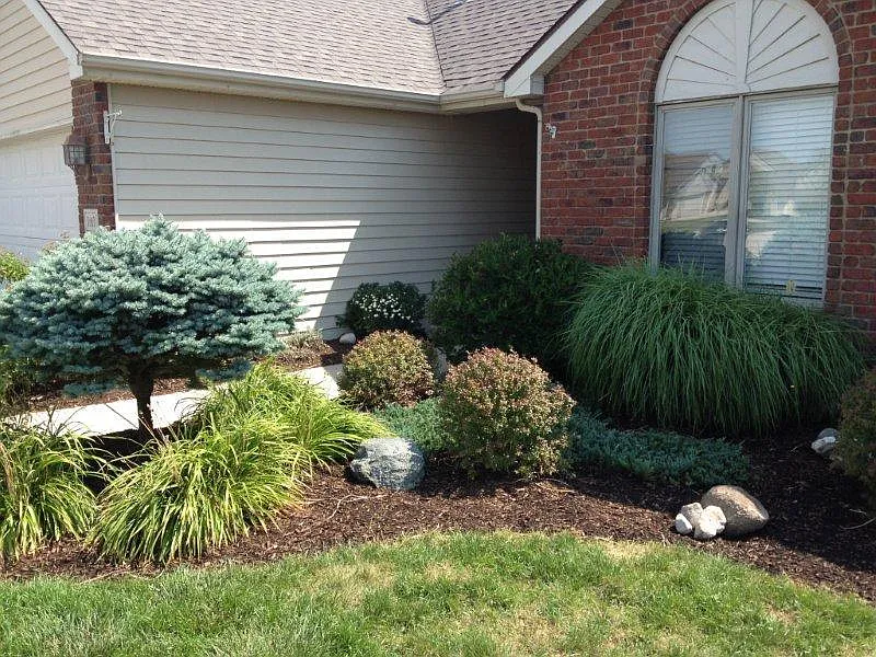 4 bed, 2198 sqft, $2,650 — Photo 2