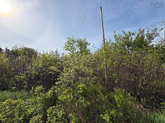 5th image of Shore Rd Lot 2