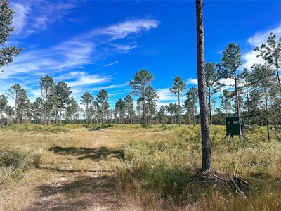 4328 Cr, De Kalb, TX, 75559