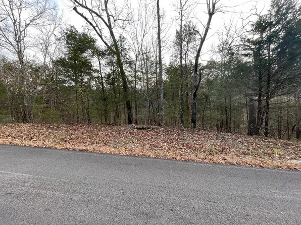 1109 Canary Ln, Horseshoe Bend, AR 72512