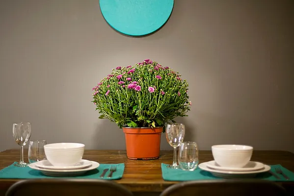 Rented by NOVO | media 54