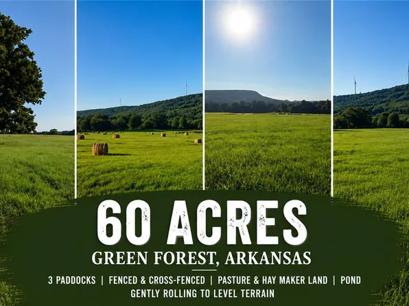 County Road 906, Green Forest, AR 72638
