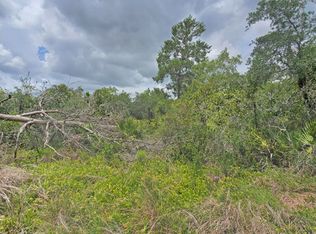 225 Hatteras Way NE, Lake Placid, FL 33852