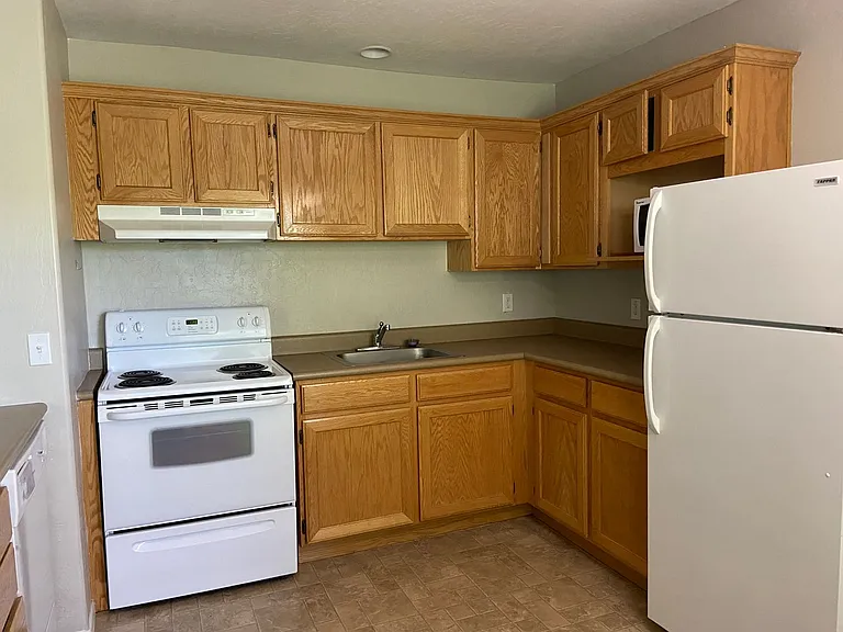 339 N Rush St — Photo 3